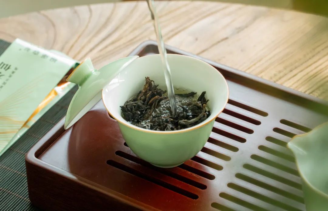 众筹丨武夷山燕子窠水仙肉桂岩茶,藏在森林里的生态好茶