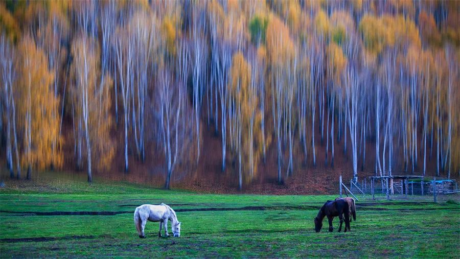 第三届世界风光维也纳国际摄影展获奖作品
