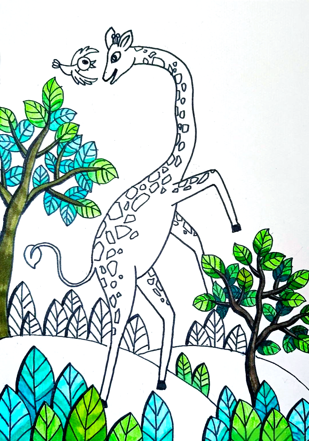 长颈鹿的优雅舞蹈