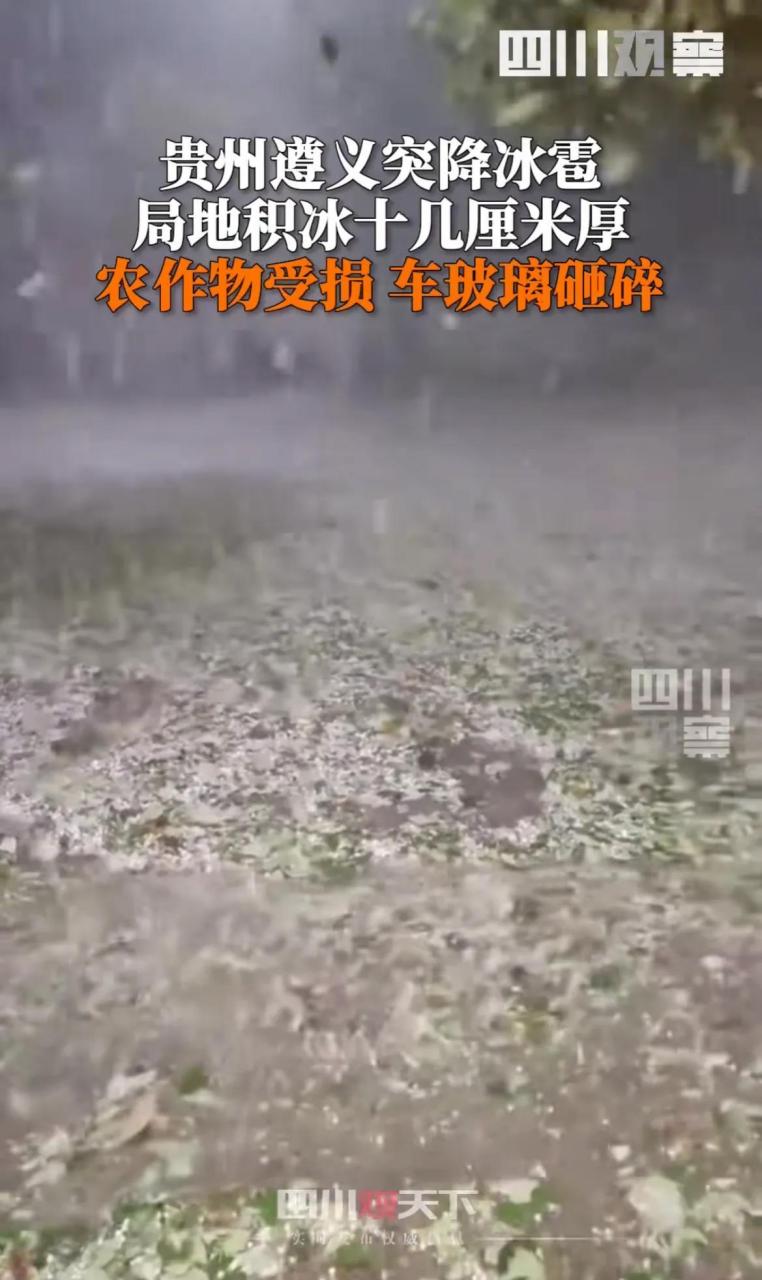 5月5日,#贵州遵义5月突降冰雹# , 农作物受损,车玻璃砸碎,局地积冰十