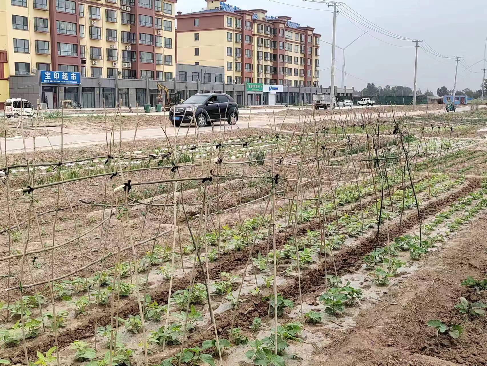 赵庄镇赵庄村图片