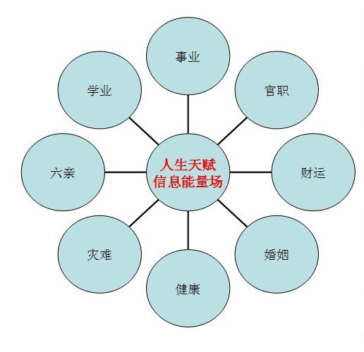 人生天赋信息能量场示意图