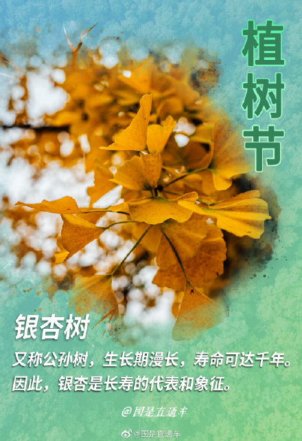 关于"树语"你知道多少