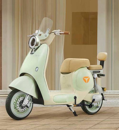 雅迪冠能电动车的前边条和挡雨板多钱