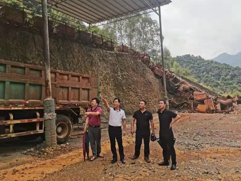 吴飞到桂平市调研指导中央生态环境保护督察反馈意见问题整改工作