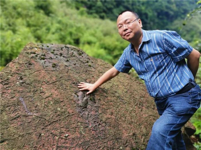 东西问·镇馆之宝|罗永明:海百合如何见证史前生物从巅峰到灭绝?