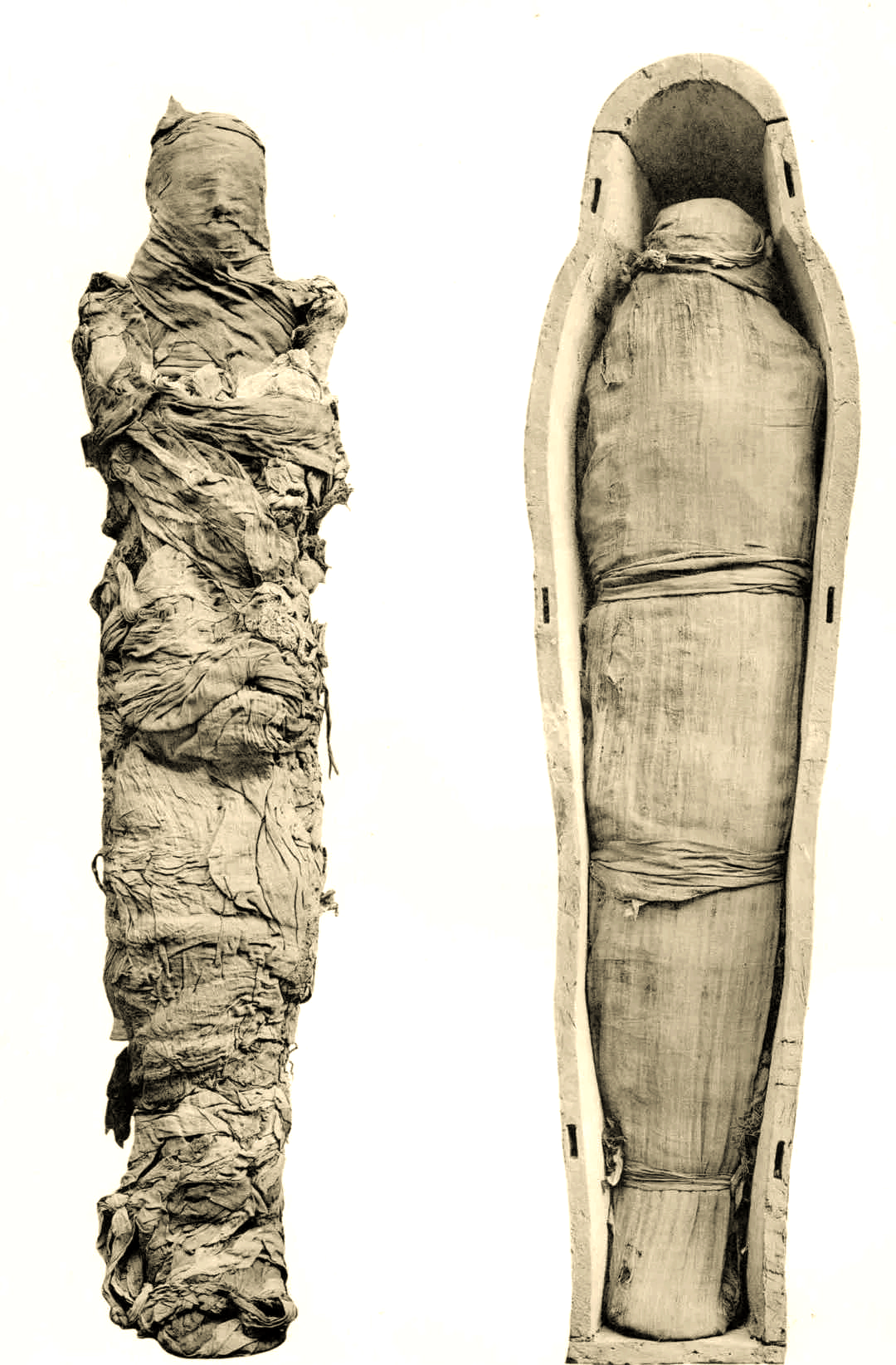 古埃及多位法老及皇室成员木乃伊图片展示