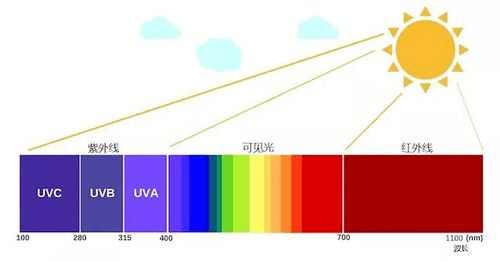 姜黄素紫外吸收波长图片