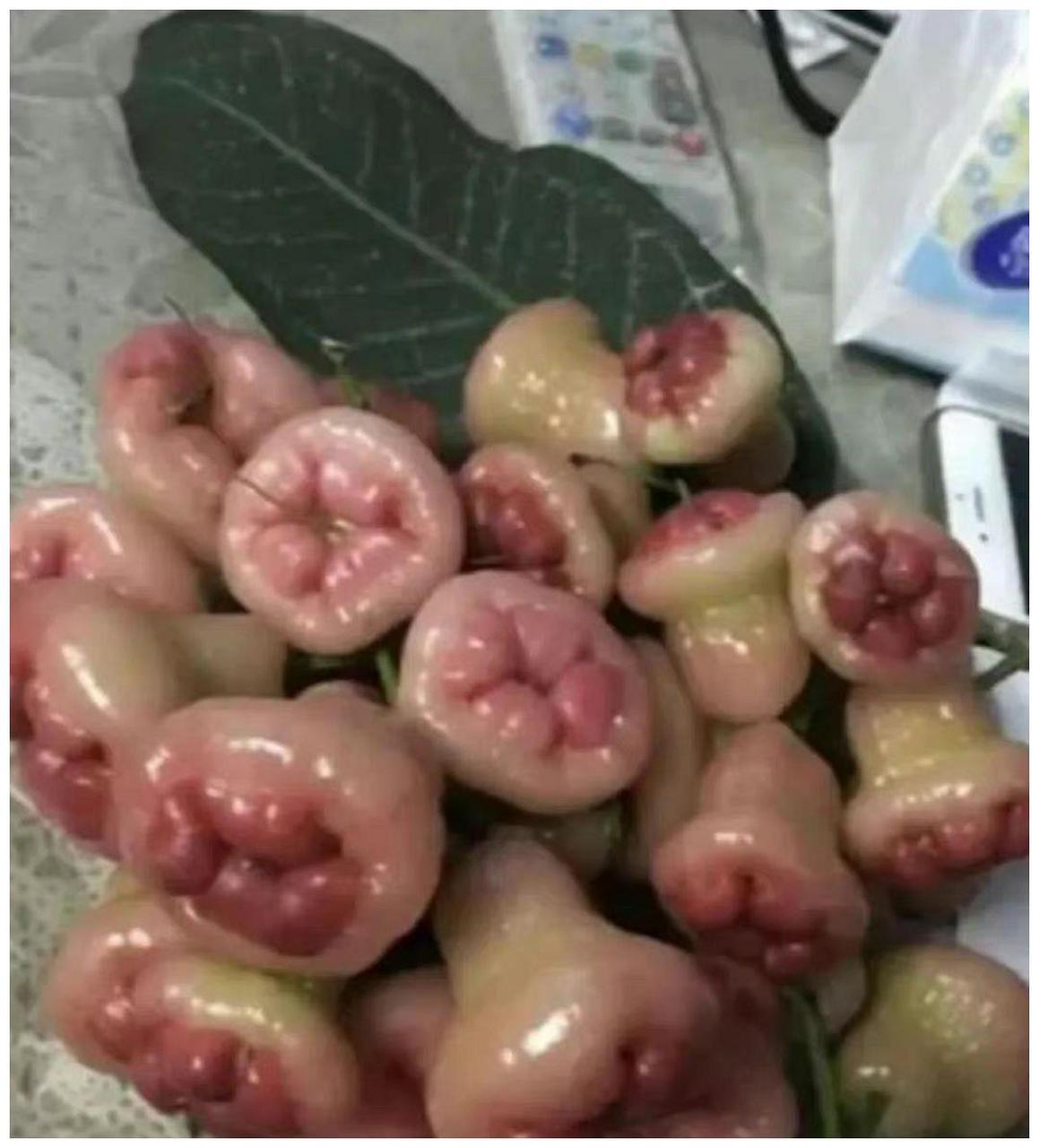 把莲雾叫痔疮果还真是.挺像的哈哈哈