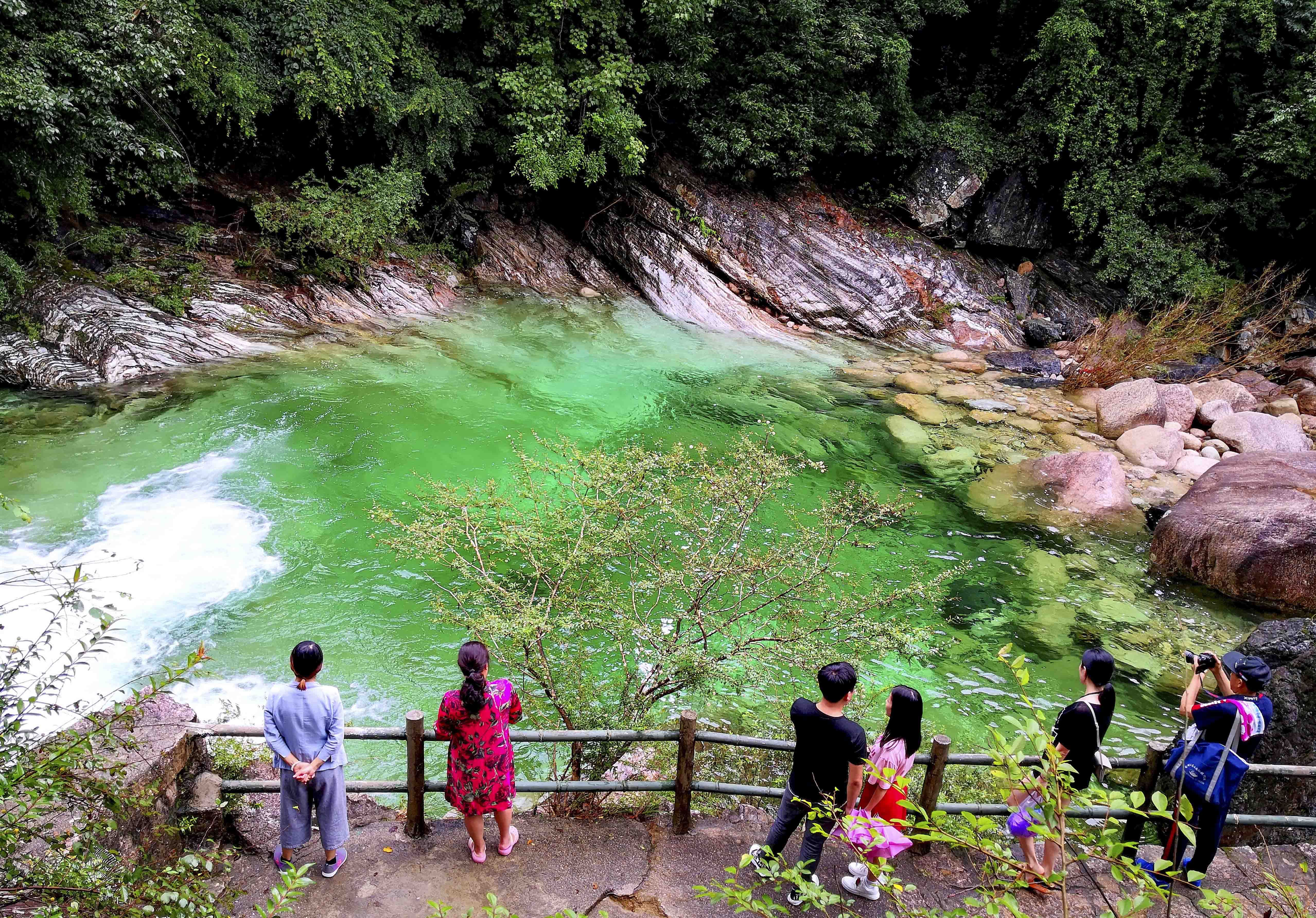 黄山东海群峰的峡谷中,有一个美丽的翡翠谷