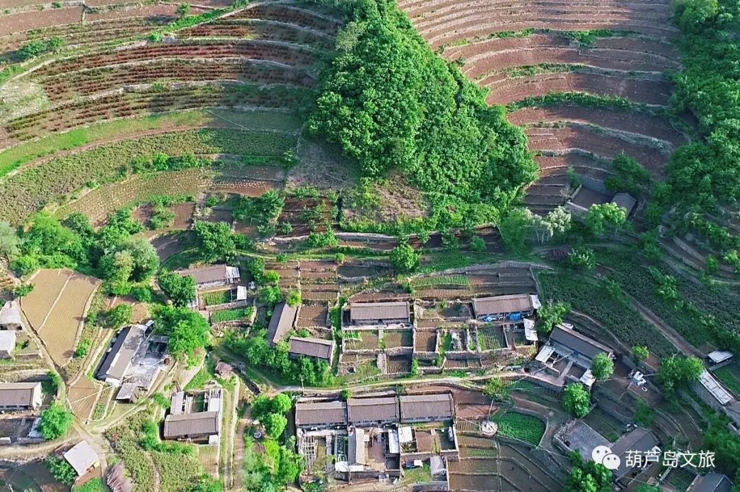 绥中加碑岩乡地图图片