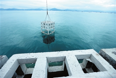 三亚将在西岛以西海域建设1个人工鱼礁区