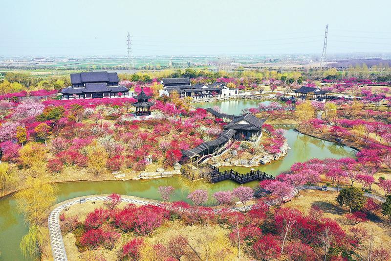 大丰一日游必去景点图片