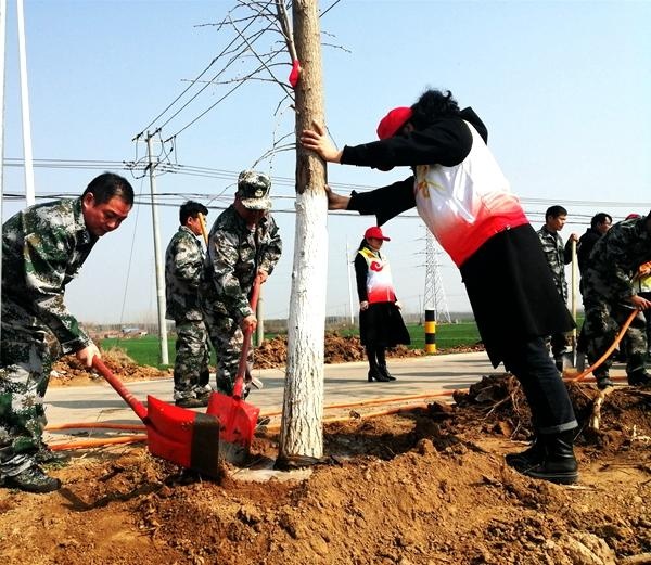 明光市柳巷镇:绿化乡村助振兴 民兵退役军人齐上阵