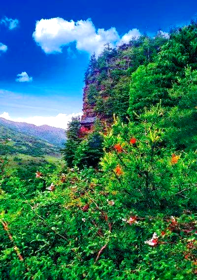 千佛洞作为莲花台景区的一大亮点,其洞内的雕塑虽历经风雨侵蚀,已残缺