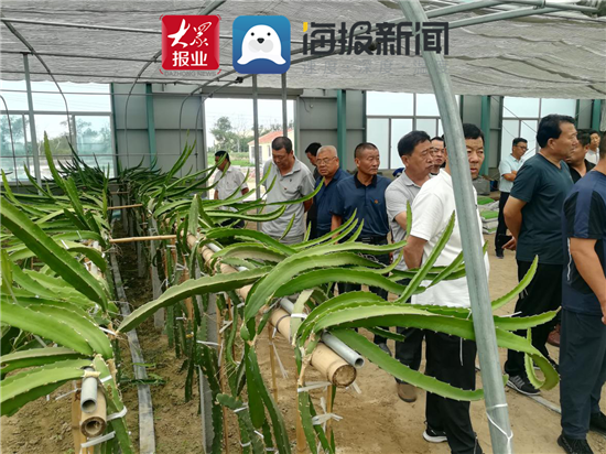 潍坊滨海区央子街道迎接昌邑市下营镇参观交流