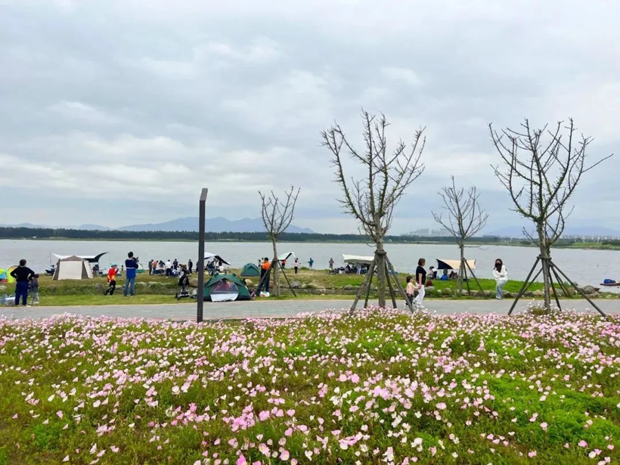 福州长乐下沙海滨度假村游客接待量创新高