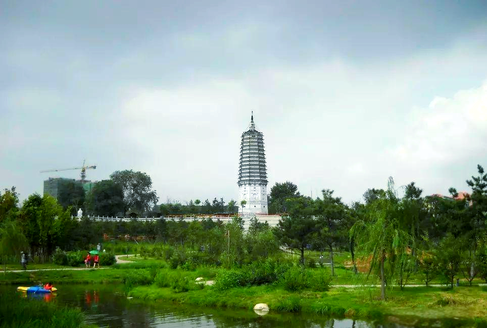 探索沈阳:市花市树,地理特征与文化传承