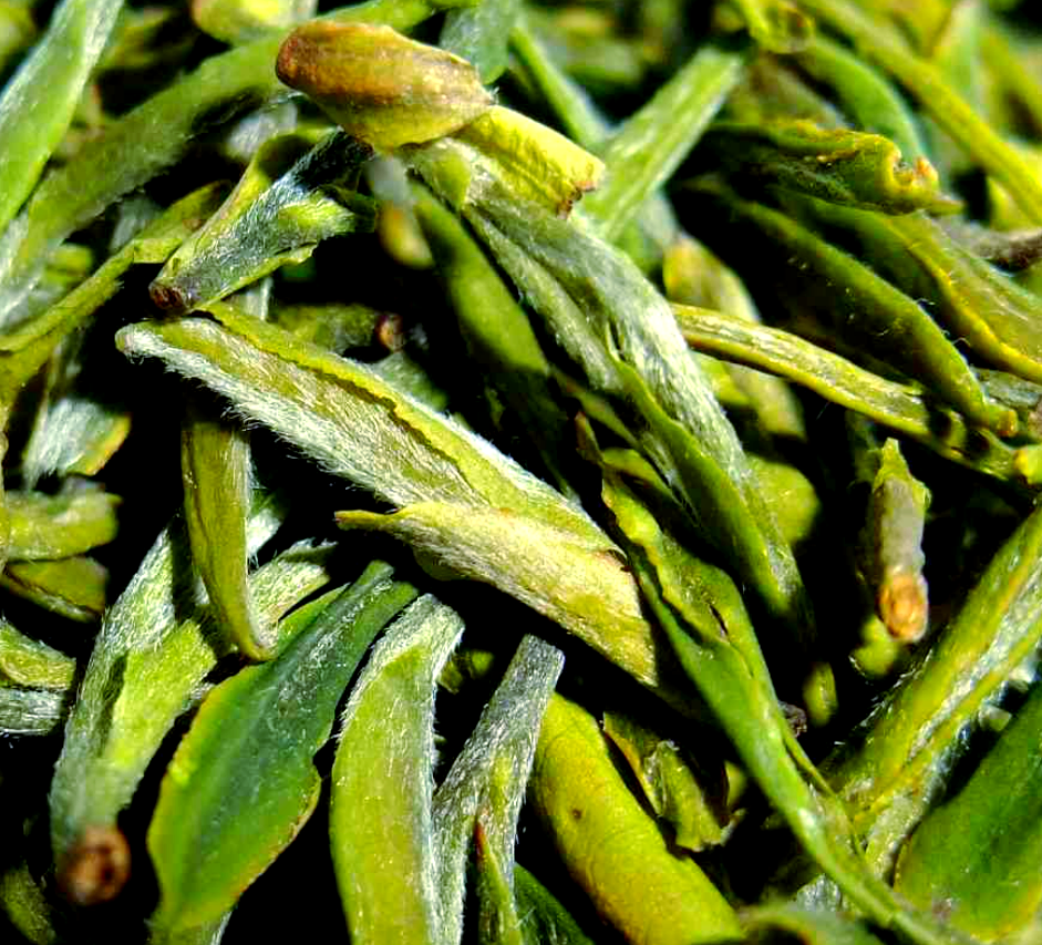 宜兴阳羡茶:从贡茶到文人雅韵的文化旅程