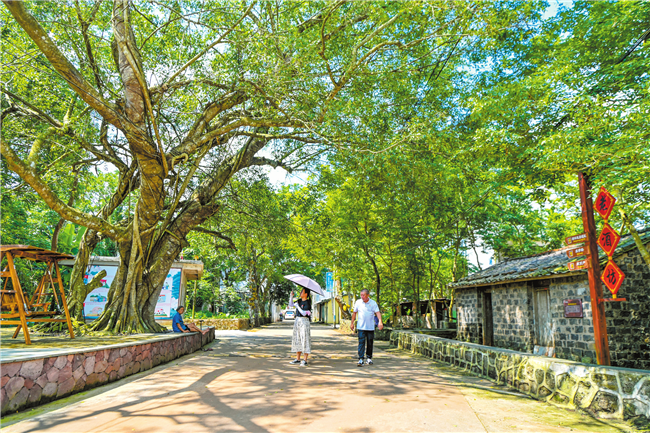 海口卜创村扮靓村庄"颜值"擦亮幸福底色