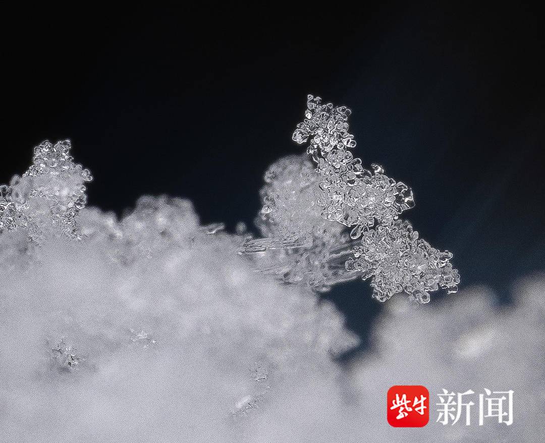 雪花微距摄影图片