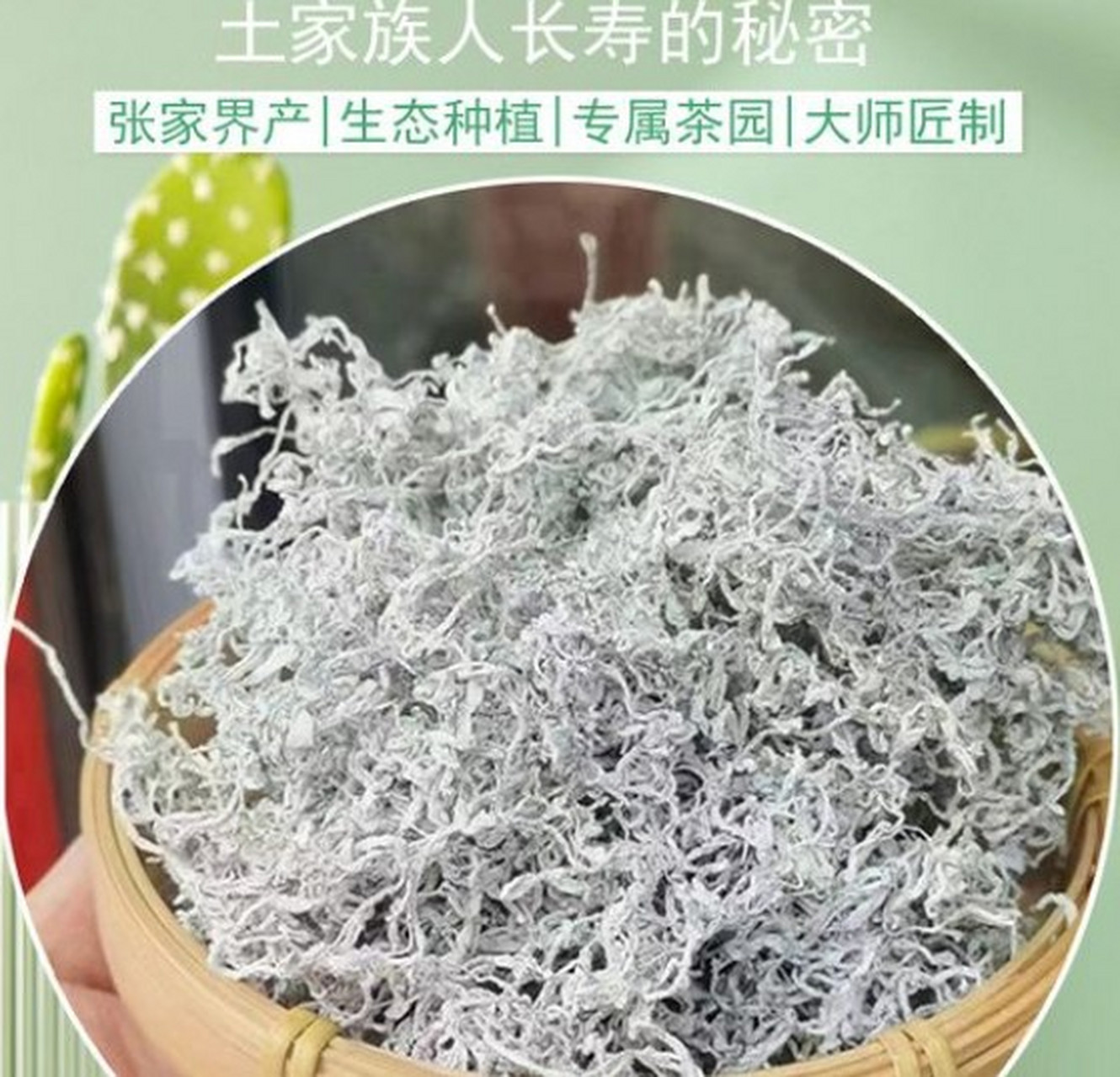 黑骨藤长寿茶大明山图片