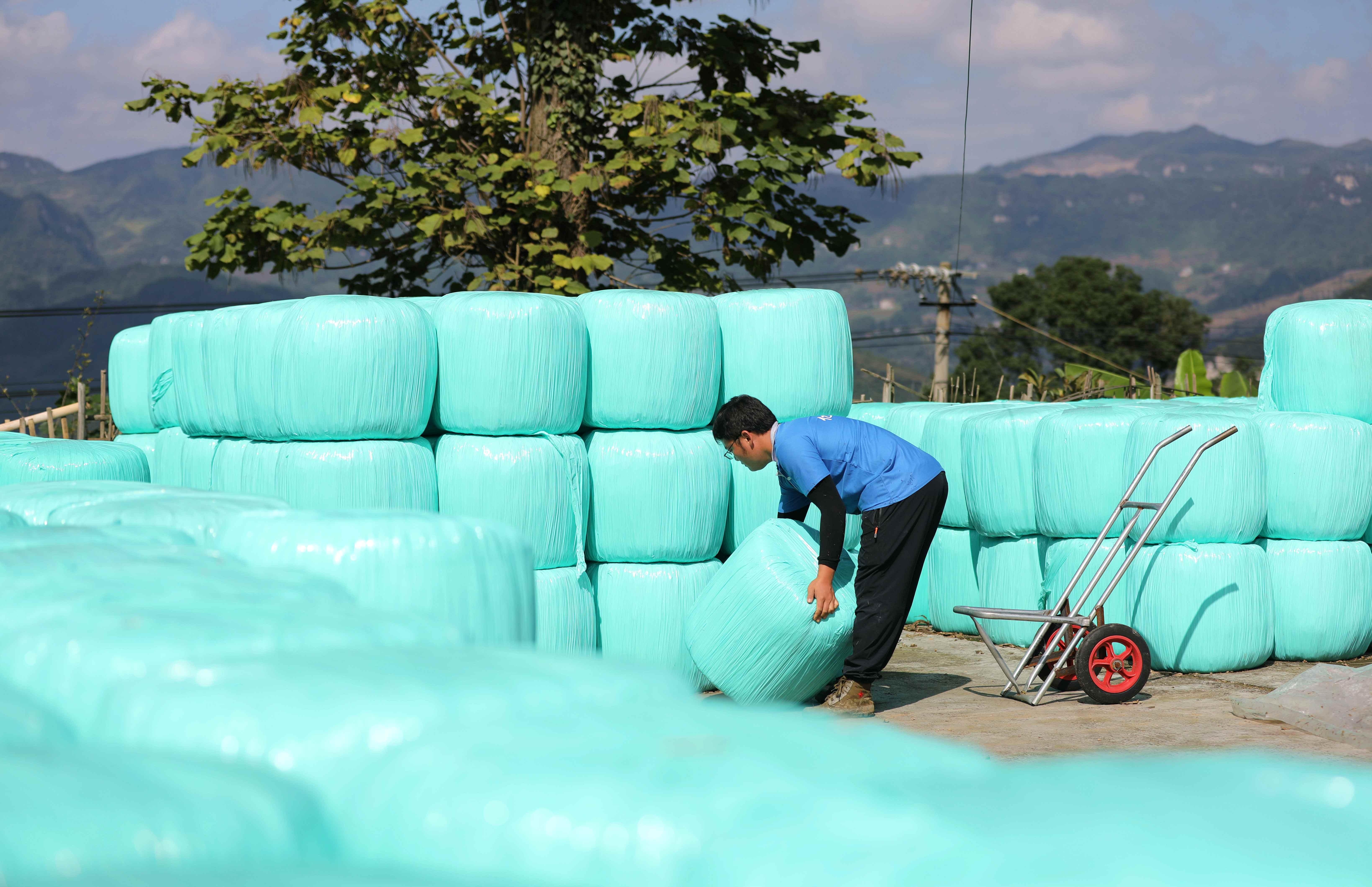 "生态包袱"变绿色财富——遵义积极推进秸秆饲料化,燃料化,肥料化综合