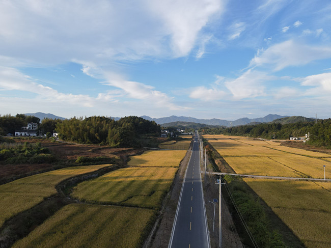 黄山区耿城镇:"撂荒田"变"荒"为宝 绘就乡村振兴美景