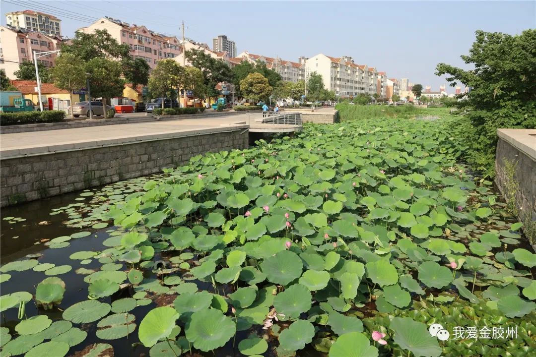「幸福之城」从云溪见胶州