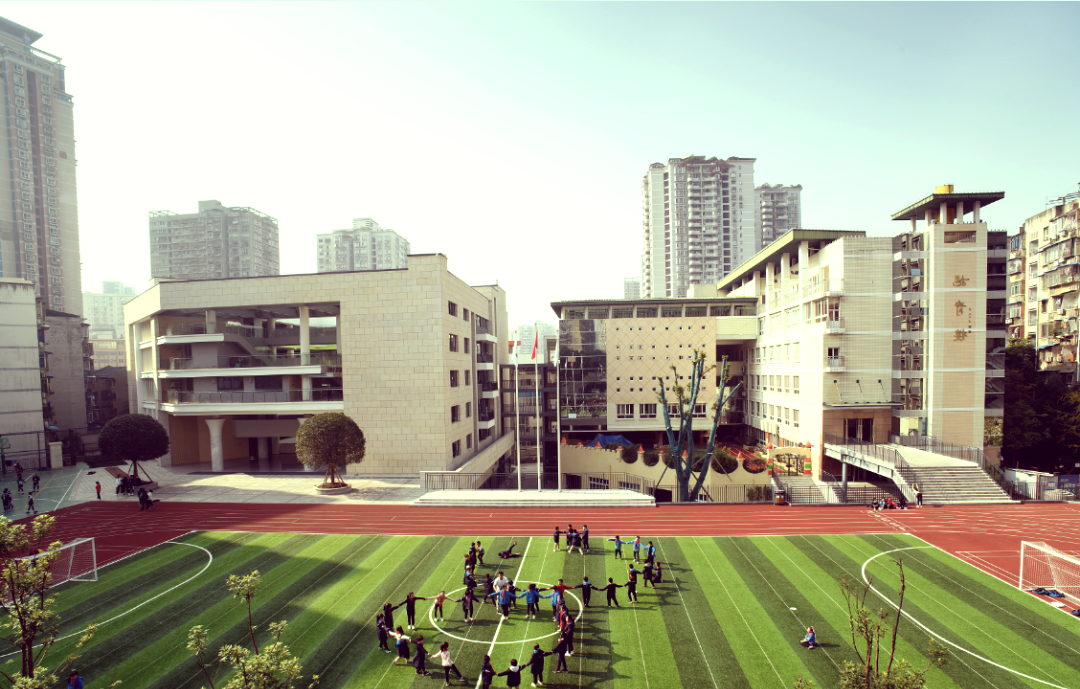 树人小学教师招聘公告:机会与要求详解