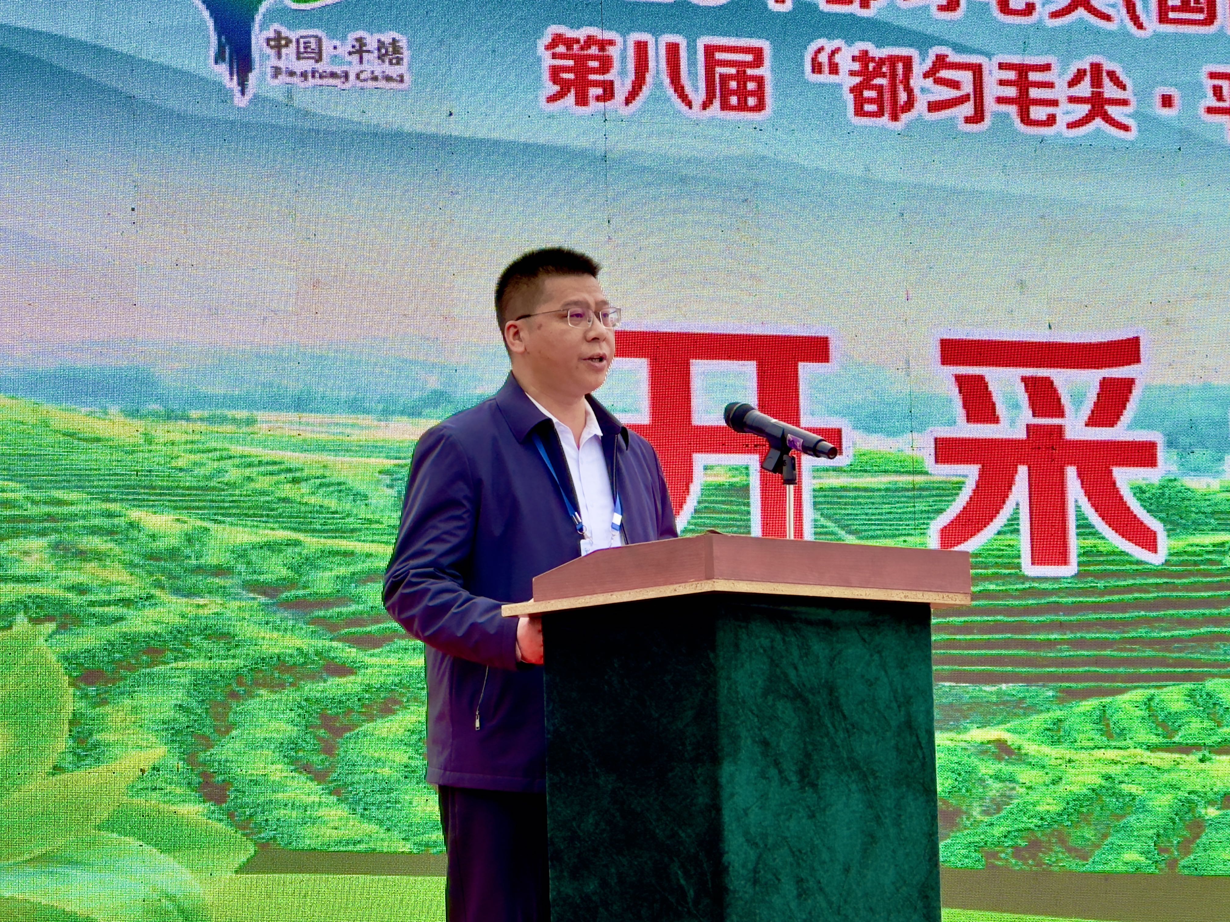暨平塘县第八届"都匀毛尖·平塘甲茶——贵州春茶第一壶"开采仪式举行