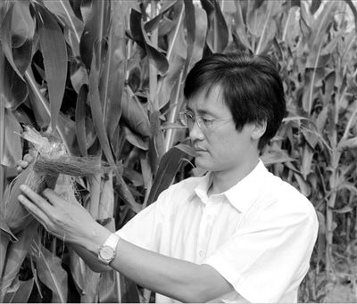 辽宁省农科院副院长孙占祥:深情耕耘科研热土