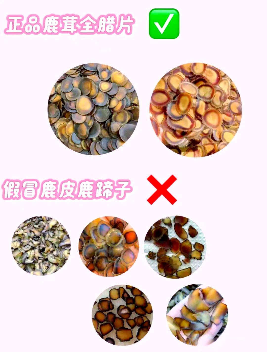鹿茸　袋角 揭秘鹿茸市场乱象及选购指南，远离假货误区