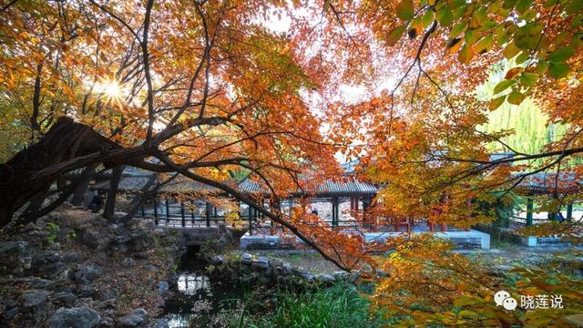 秋天的童话——中国皇家园林之颐和园新的光影（一）