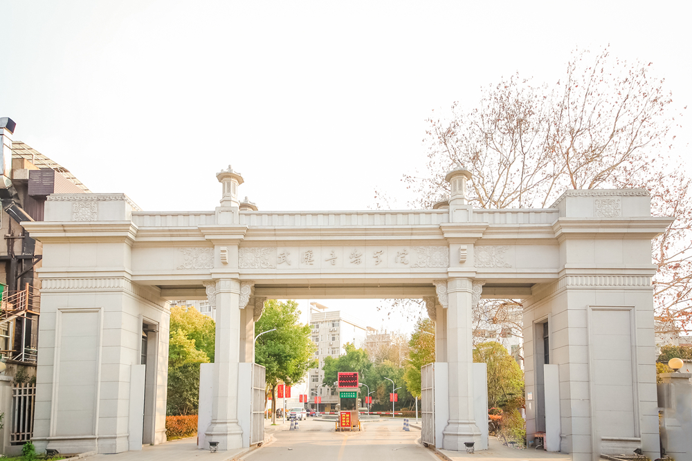 武汉艺术学院 baijiahao.baidu.com