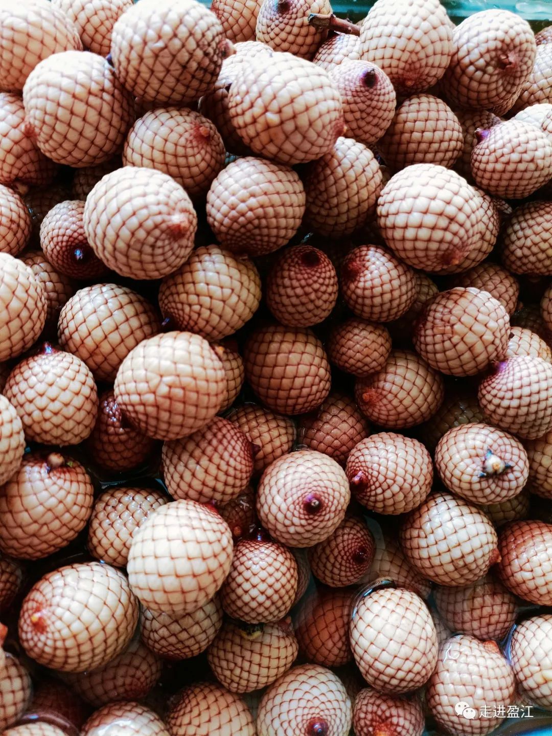 德宏这么多美味酸果果,你吃过几种?