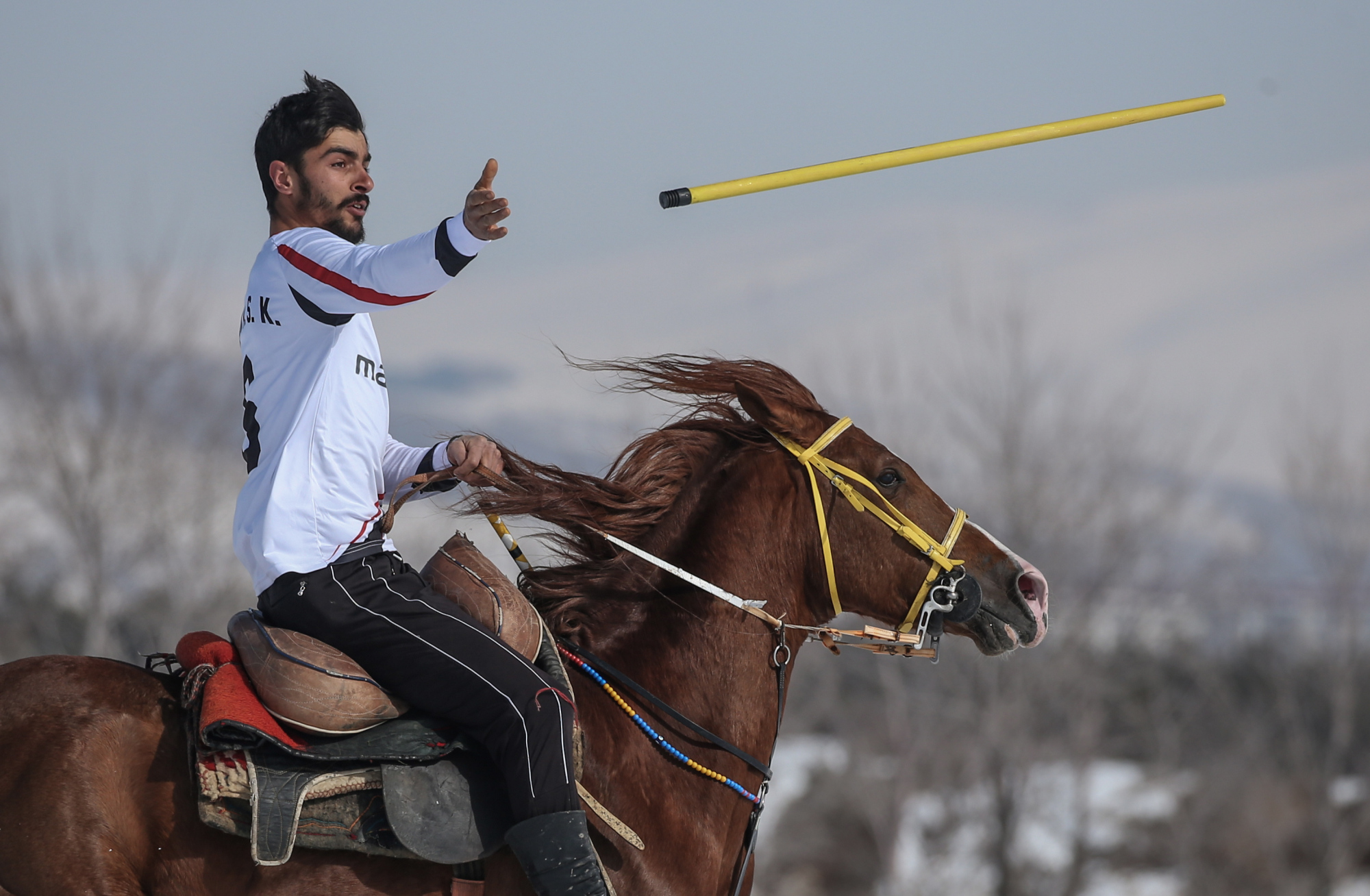 (41)土耳其:骑马掷标枪
