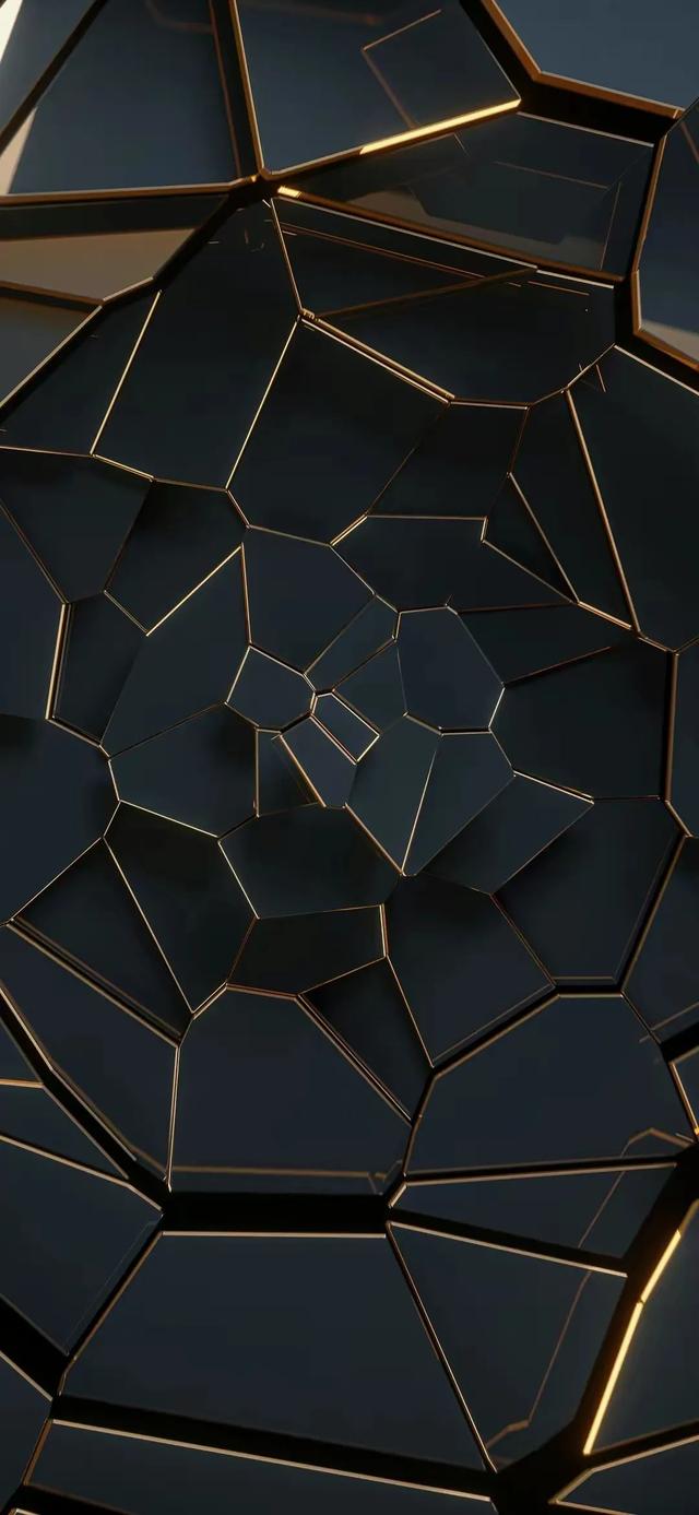 vol 224 精选无水印高清手机壁纸(黑色系列)