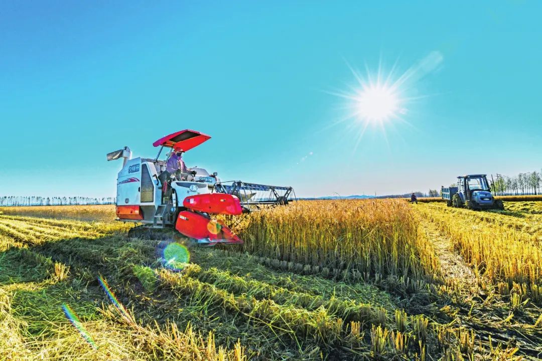 勃利县粮食生产实现二十连丰