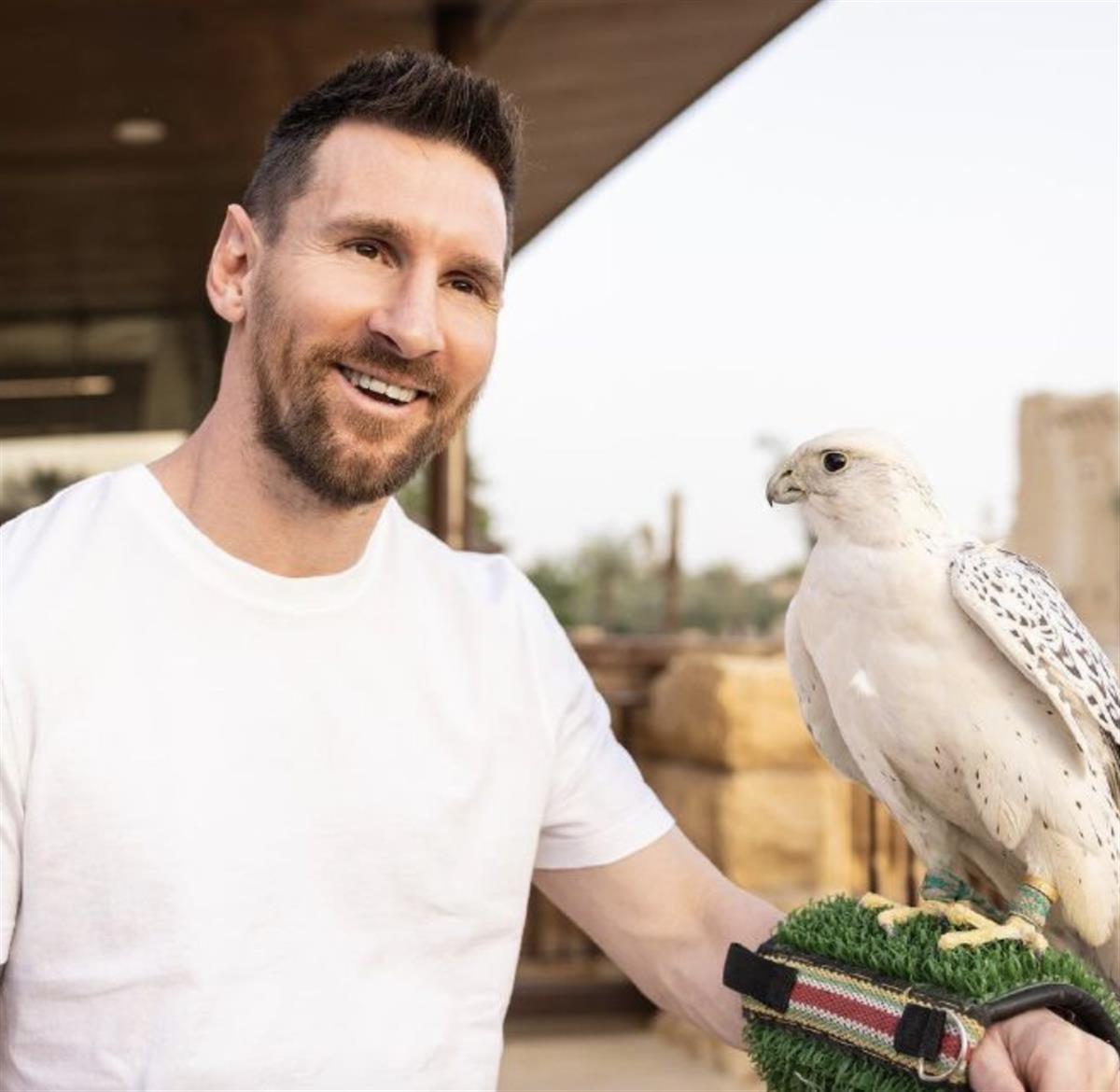 ÷��ȥ�Ļ��ڲ£��������ѻ���ȷ��ȥɳ�أ���н1��ŷԪ