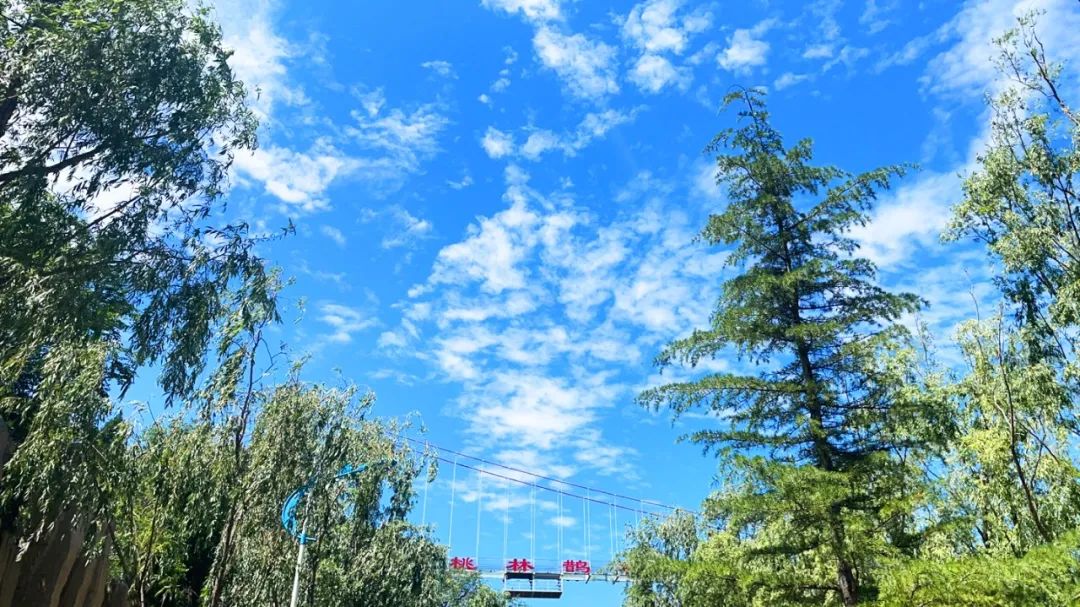 今天阳泉的蓝天白云美如画;明天起这些道路交通管制;还有个重要提醒