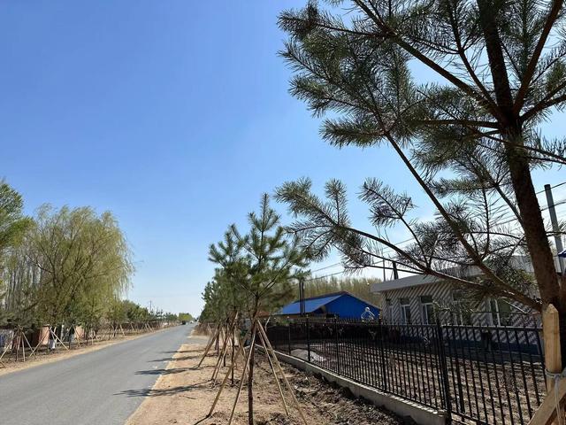 梨树县林海镇:植树造林添新绿乡村振兴增活力