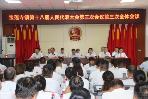 安阳市文峰区宝莲寺镇加快构建新发展格局 着力推进高质量发展