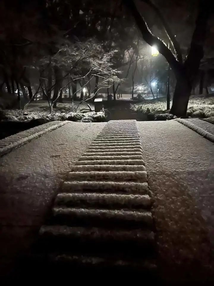 下雪夜景 实景图片