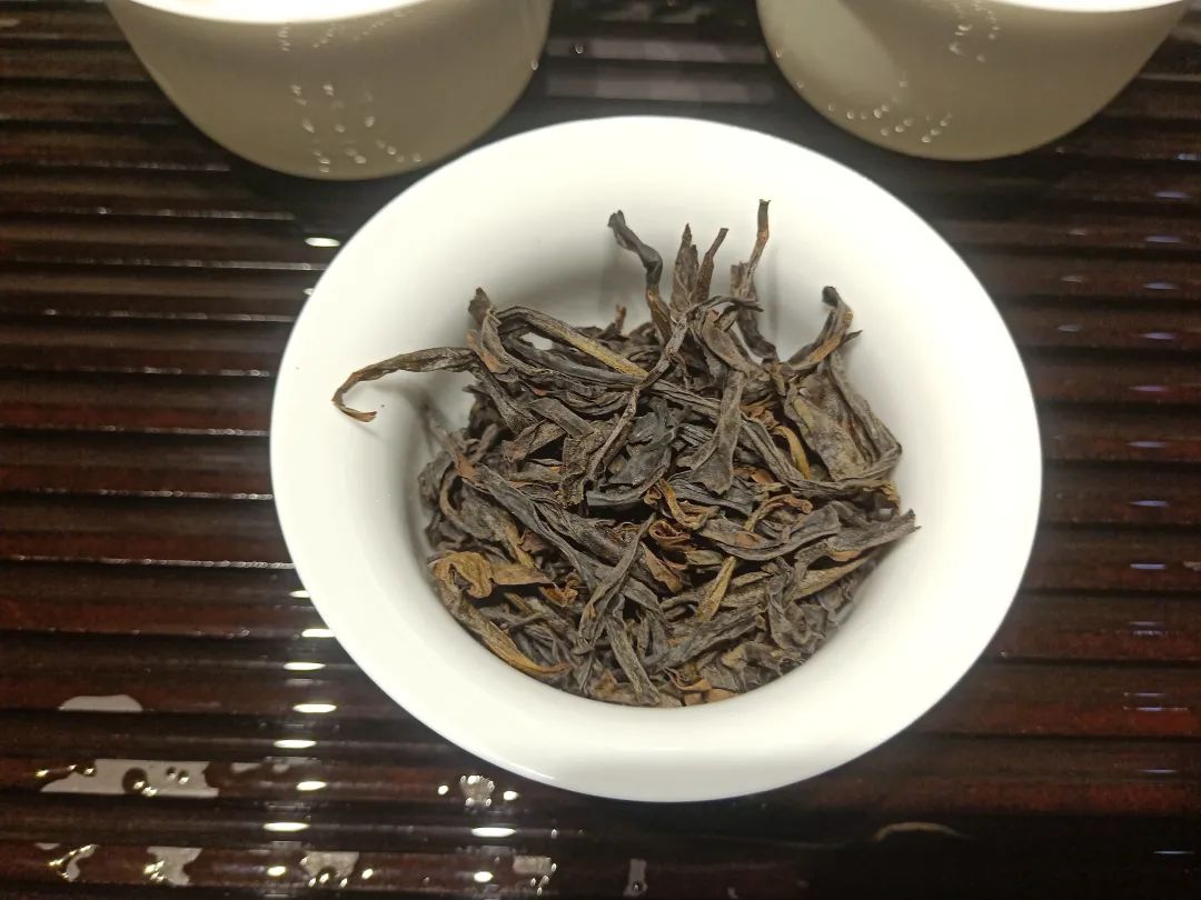 燕子窠老枞水仙