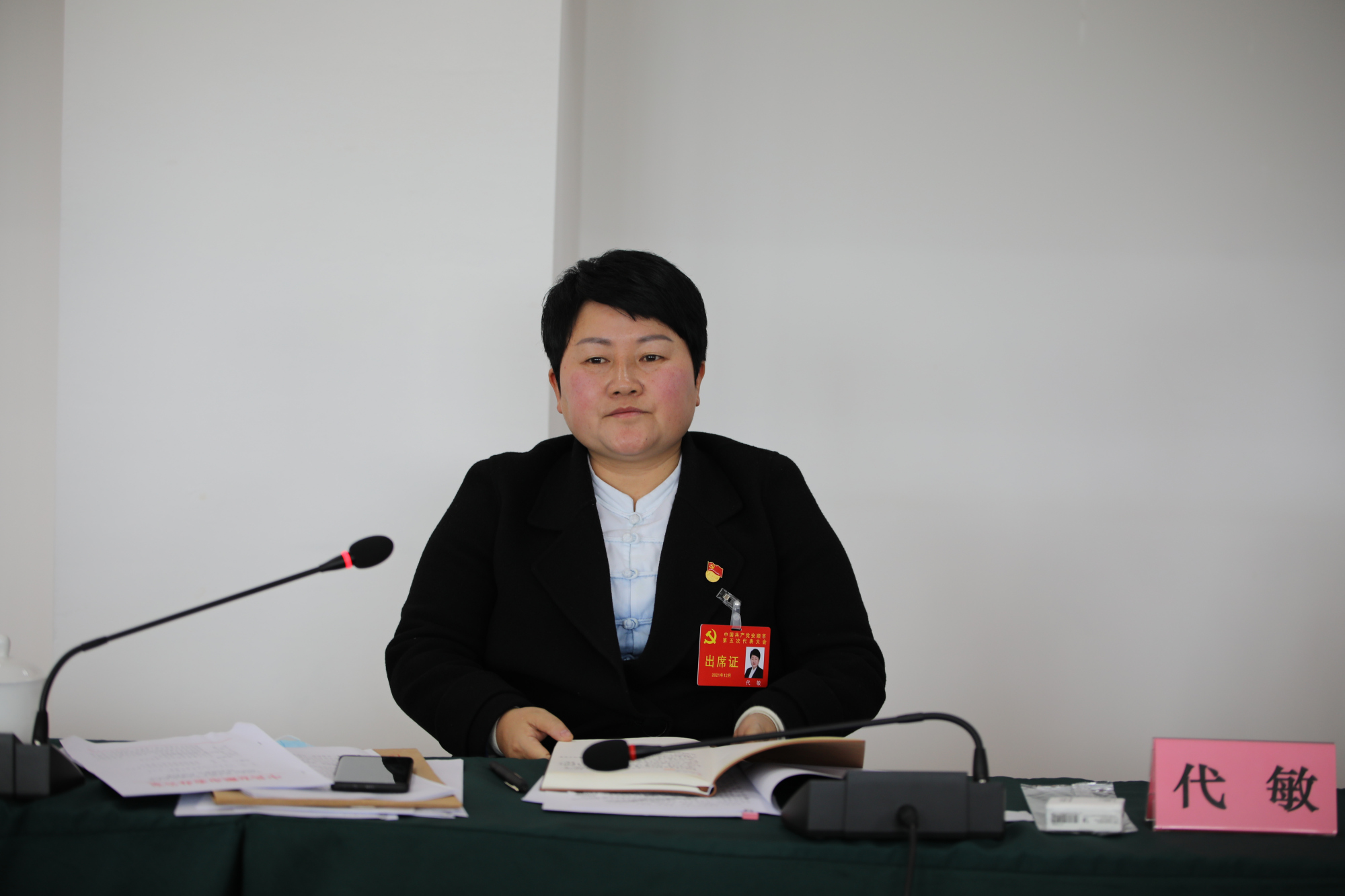 「聚焦安顺党代会」安顺经开区党工委书记代敏:打造"五区一地" 绘就