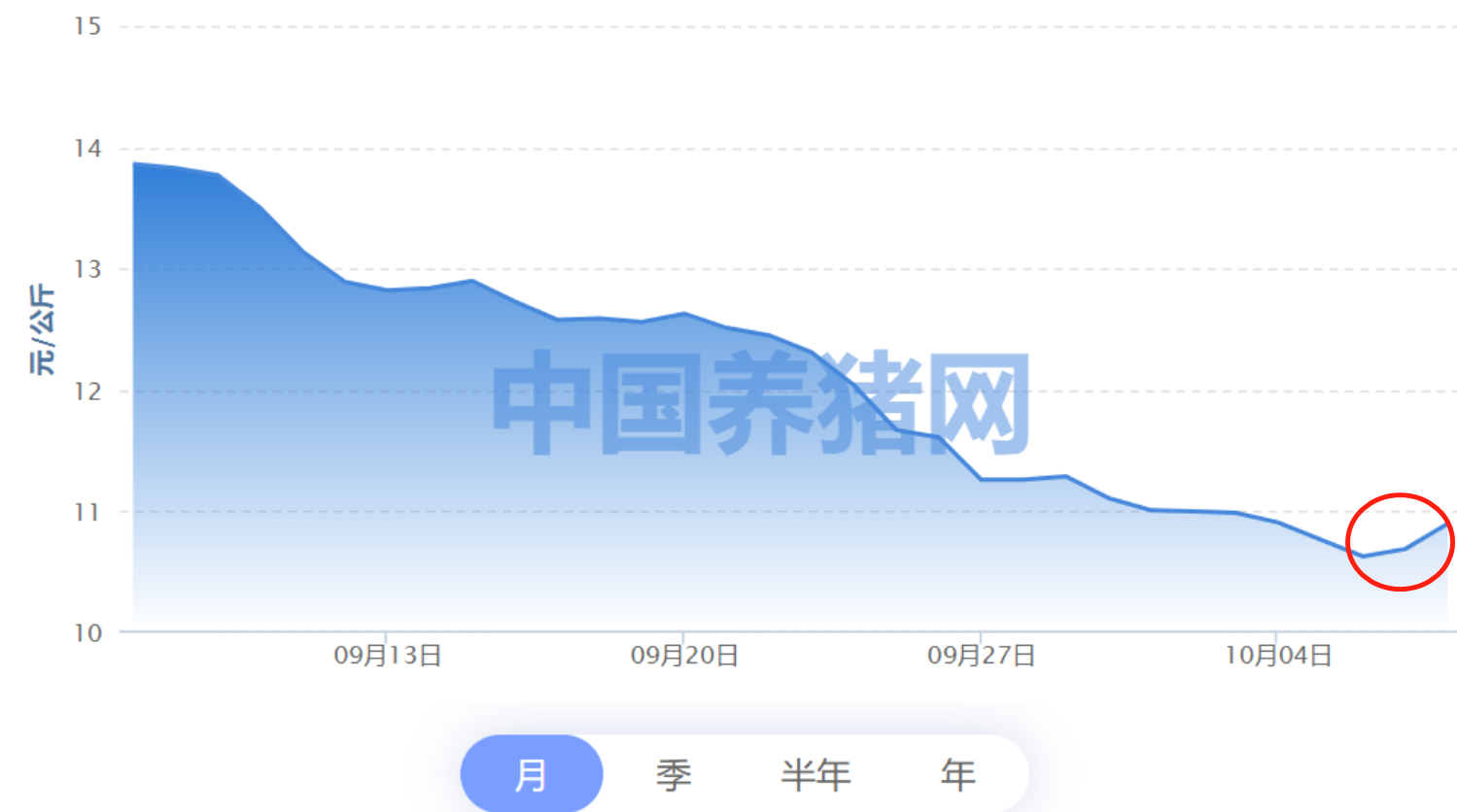 豬價反彈?持續性如何|見智研究所