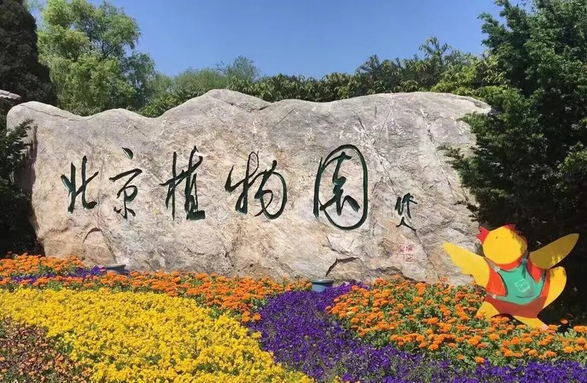 北京植物園門票多少錢一張