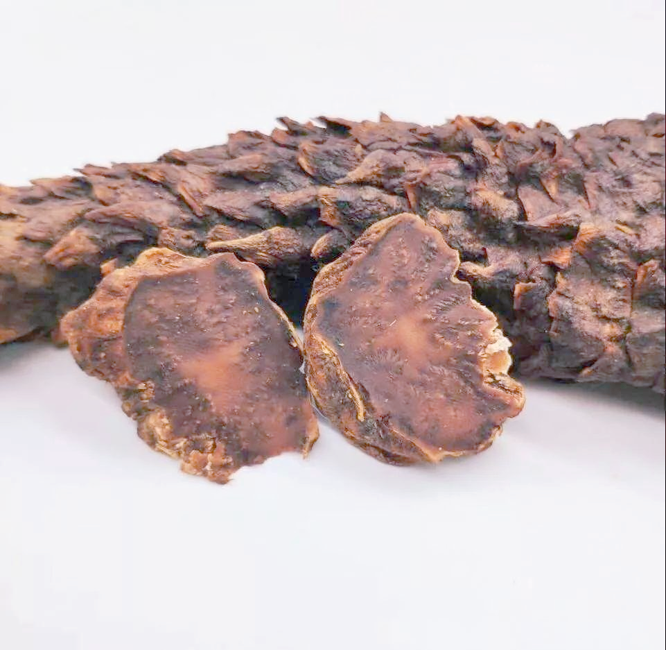 肉苁蓉:沙漠中的中药瑰宝