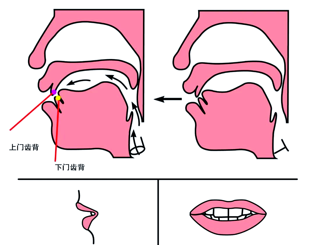 孩子平翘舌发音混淆的原因与纠正方法详解